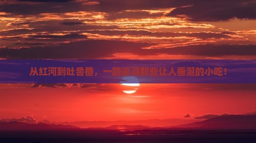 红河去新疆吐鲁番旅游小吃