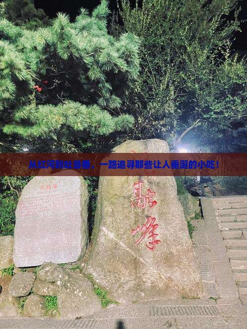 红河去新疆吐鲁番旅游小吃