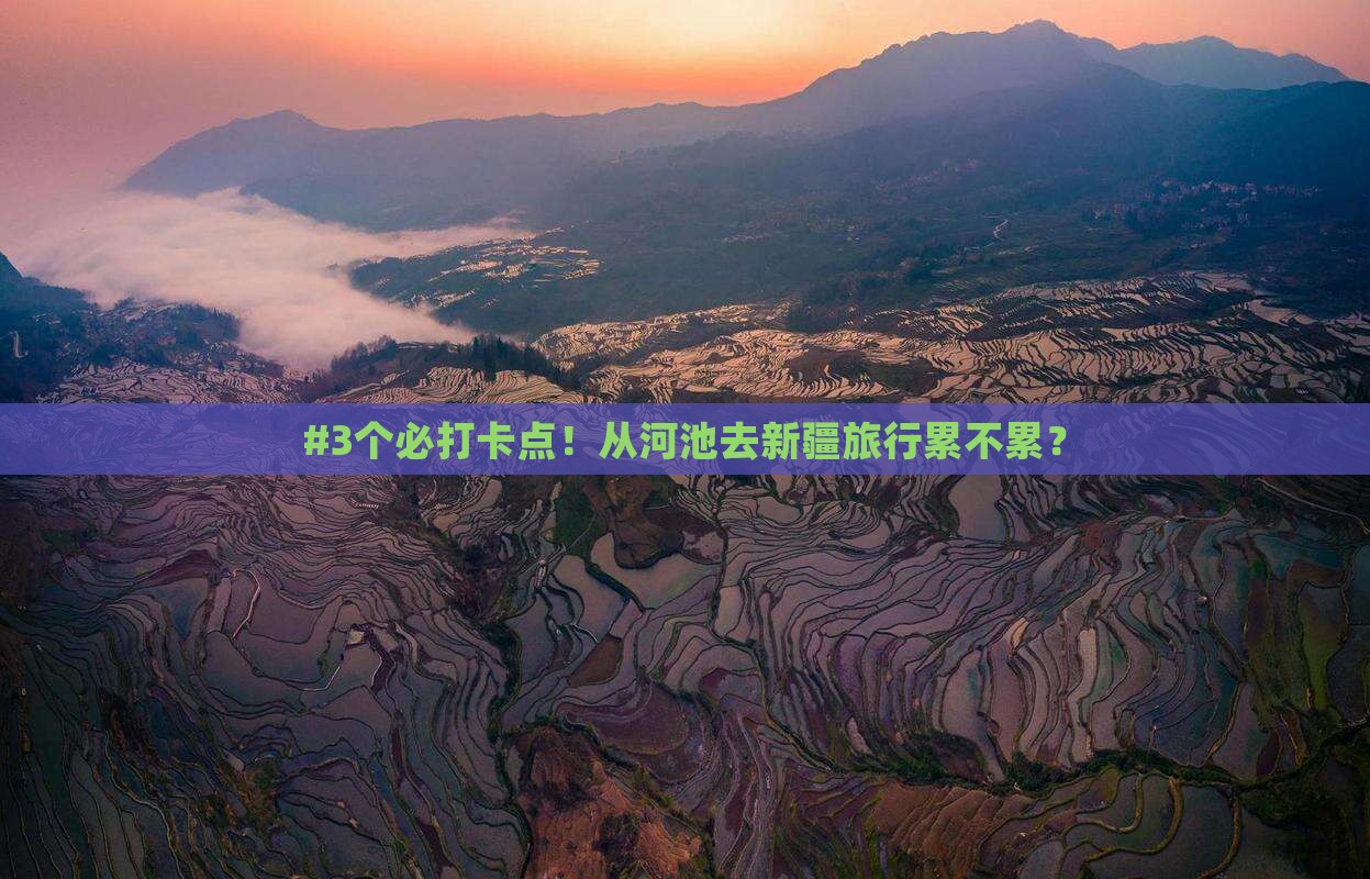 河池到新疆攻略
