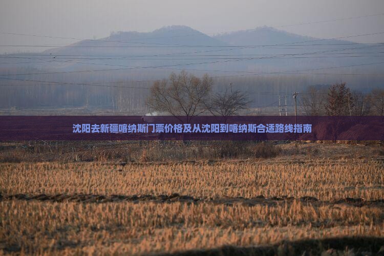 沈阳去新疆喀纳斯门票