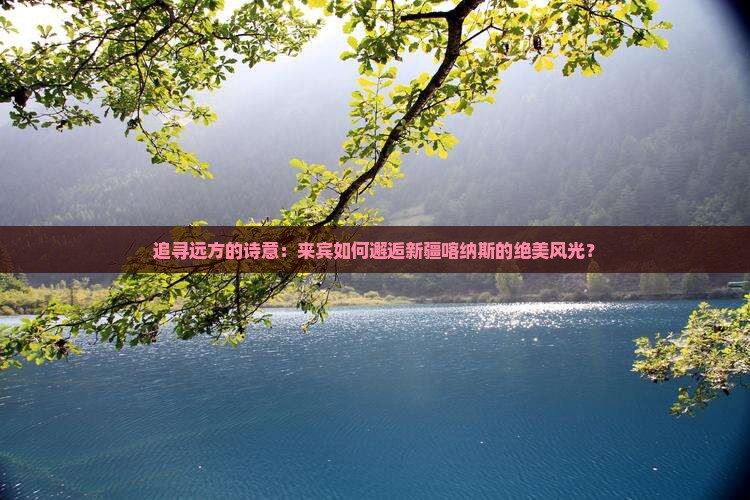 来宾去新疆喀纳斯景点