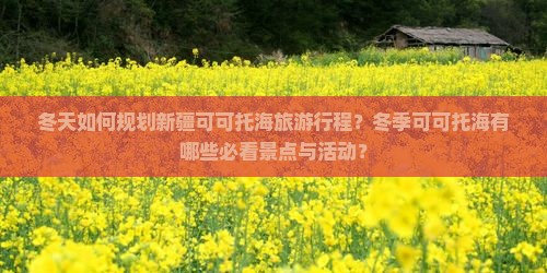 冬天到新疆可可托海景点