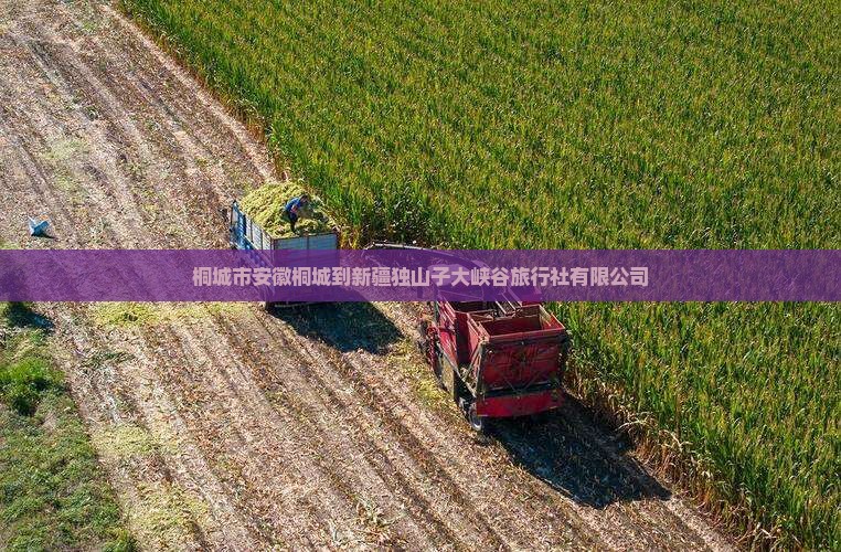 桐城到新疆独山子大峡谷旅行社