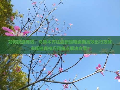 乌鲁木齐去新疆喀纳斯攻略