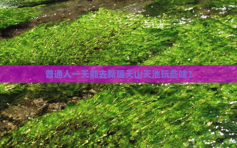 巴中去新疆天山天池一日