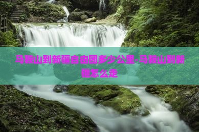 马鞍山到新疆自由团