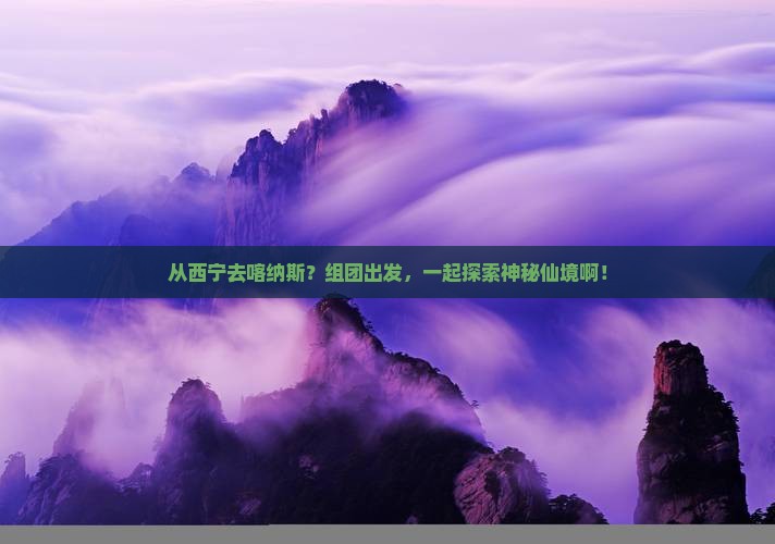西宁到新疆喀纳斯团体旅游