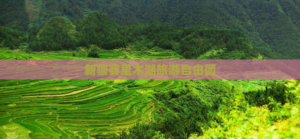 六月到新疆赛里木湖自由团