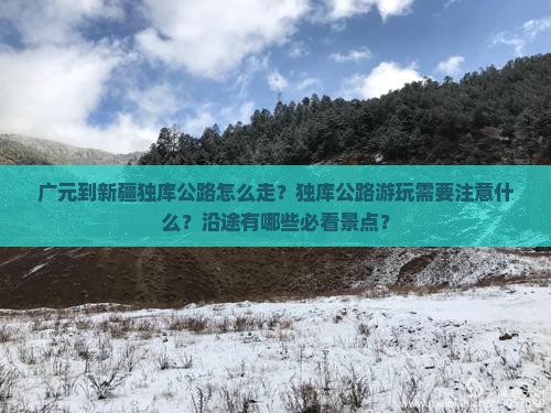 广元去新疆独库公路攻略