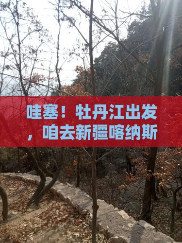 牡丹江去新疆喀纳斯自由团