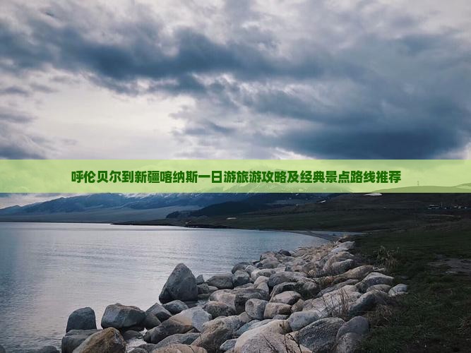 呼伦贝尔到新疆喀纳斯一日