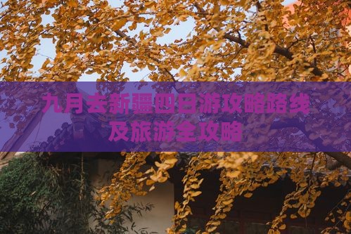 九月去新疆四日游