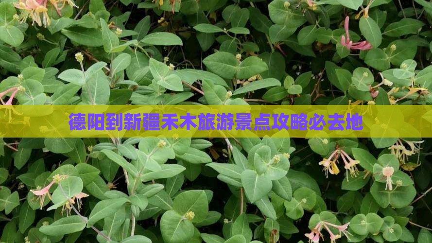 德阳到新疆禾木必去地 德阳到新疆禾木必去地