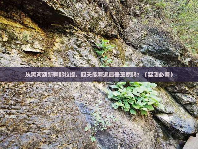 黑河去新疆那拉提四日游