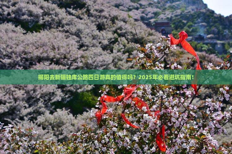 揭阳去新疆独库公路四日游