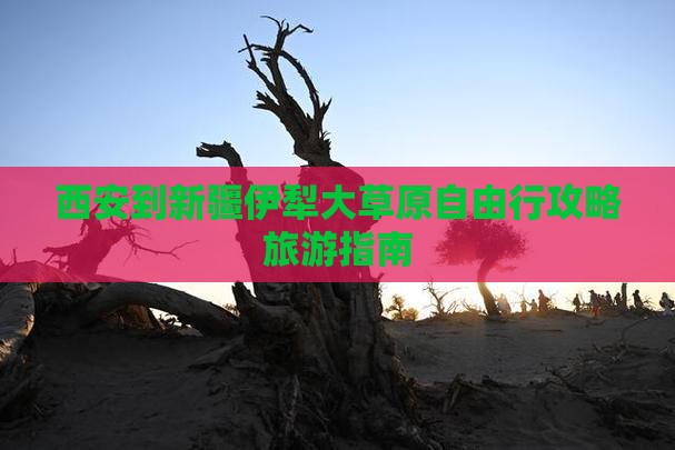 西安去新疆伊犁大草原自由行