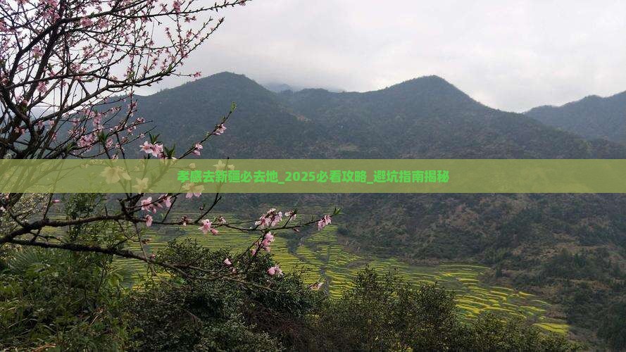 孝感去新疆必去地