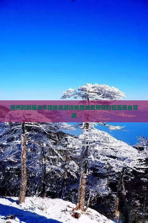 德州到新疆禾木团体旅游