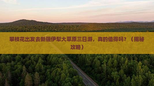 攀枝花去新疆伊犁大草原三日游