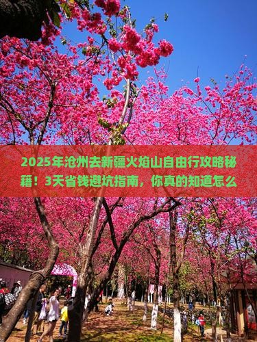 沧州去新疆火焰山自由行