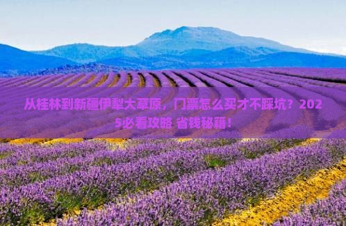 桂林去新疆伊犁大草原门票