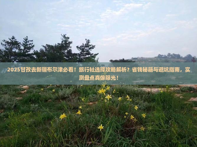 甘孜去新疆布尔津旅行社