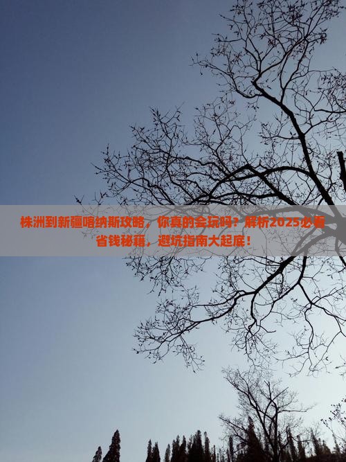株洲到新疆喀纳斯攻略