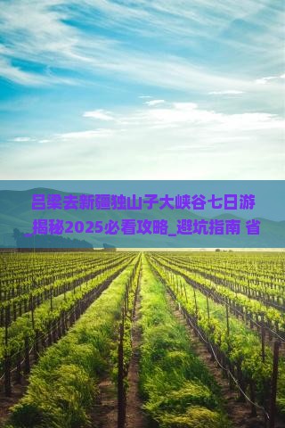 吕梁去新疆独山子大峡谷七日游