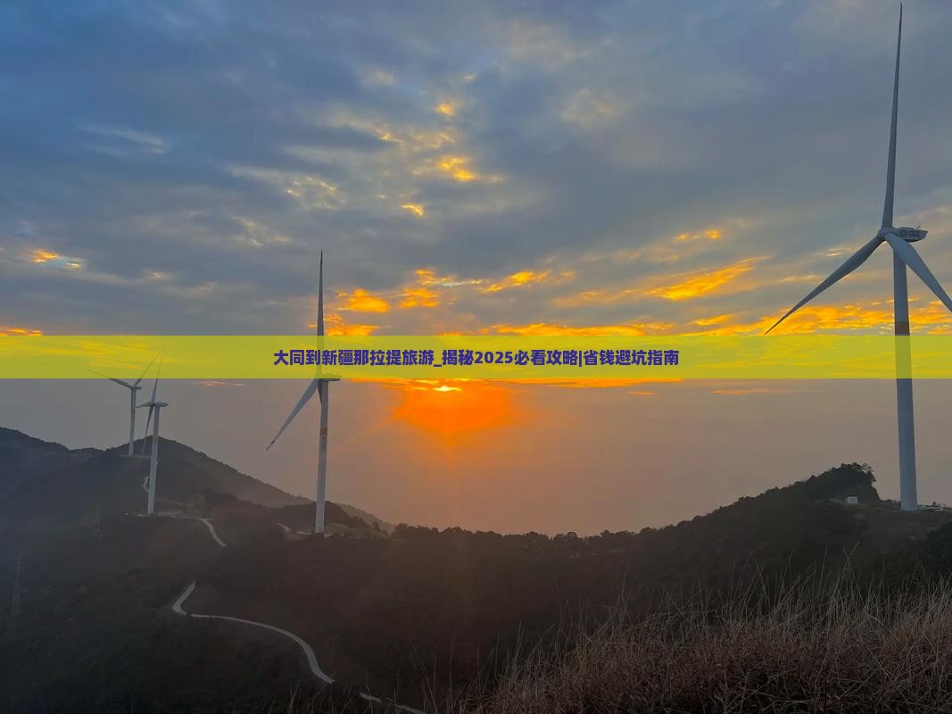 大同到新疆那拉提旅游