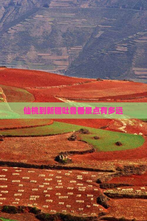 仙桃到新疆吐鲁番景点