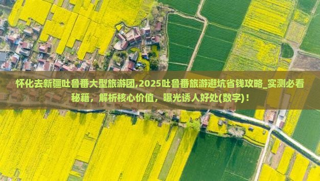 怀化去新疆吐鲁番大型旅游团