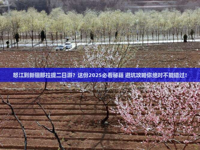 怒江到新疆那拉提二日游