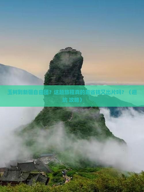 玉树到新疆自由团