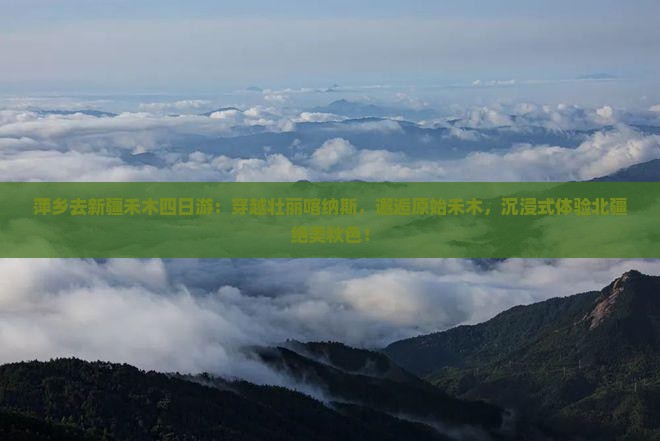 萍乡去新疆禾木四日游