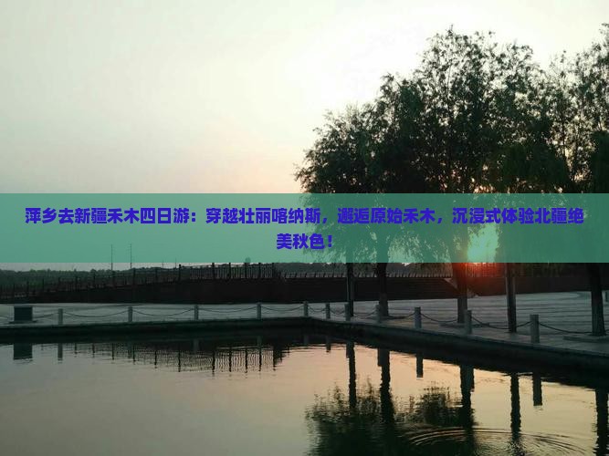萍乡去新疆禾木四日游