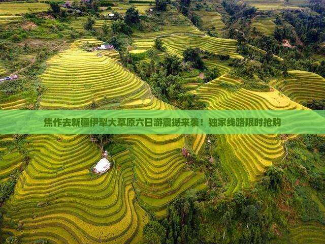 焦作去新疆伊犁大草原六日游