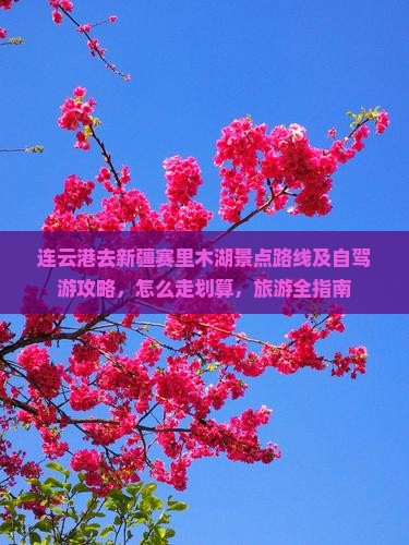 连云港去新疆赛里木湖景点