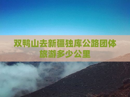双鸭山去新疆独库公路团体旅游