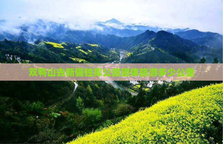 双鸭山去新疆独库公路团体旅游
