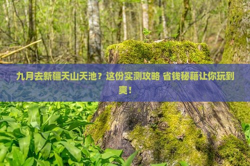 九月到新疆天山天池必去地