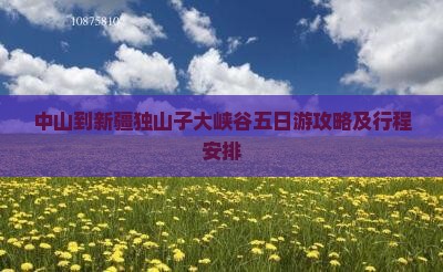 中山到新疆独山子大峡谷五日游