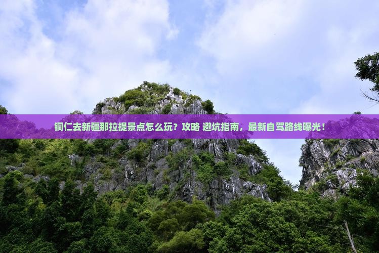 铜仁去新疆那拉提景点