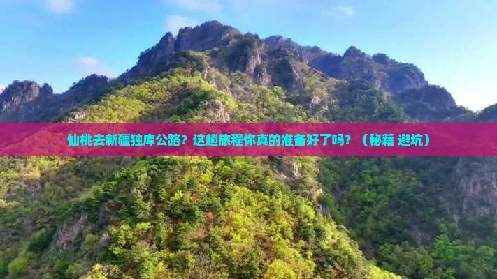 仙桃去新疆独库公路景点