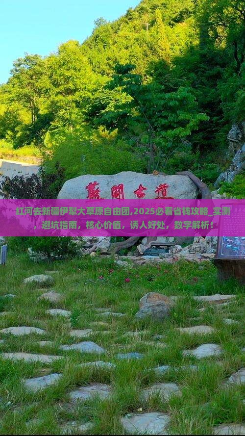 红河去新疆伊犁大草原自由团