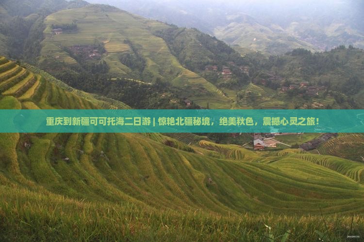 重庆到新疆可可托海二日游