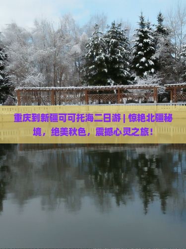 重庆到新疆可可托海二日游
