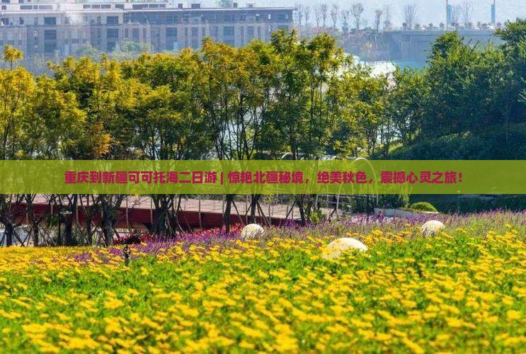 重庆到新疆可可托海二日游
