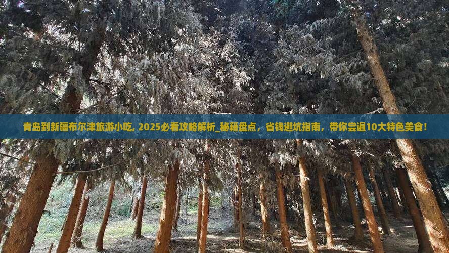 青岛到新疆布尔津旅游小吃