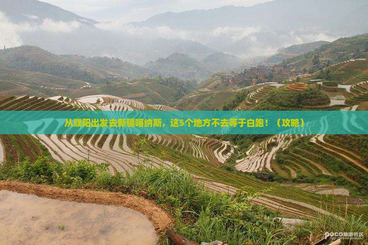 濮阳去新疆喀纳斯必去地