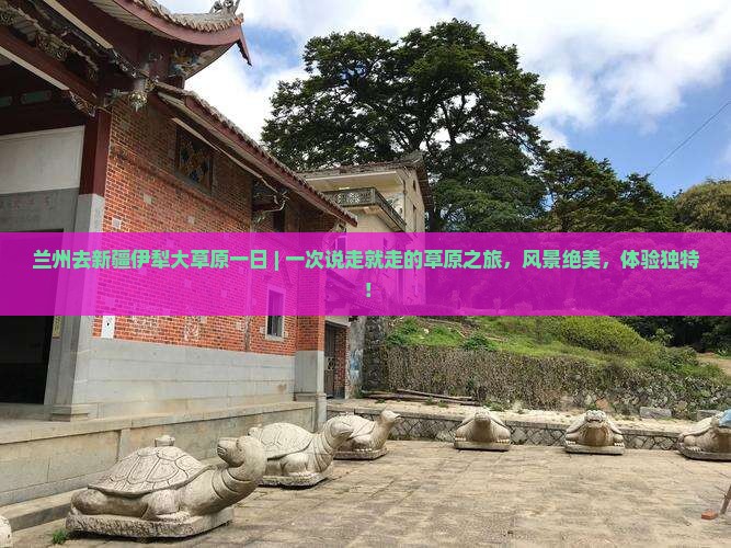 兰州去新疆伊犁大草原一日